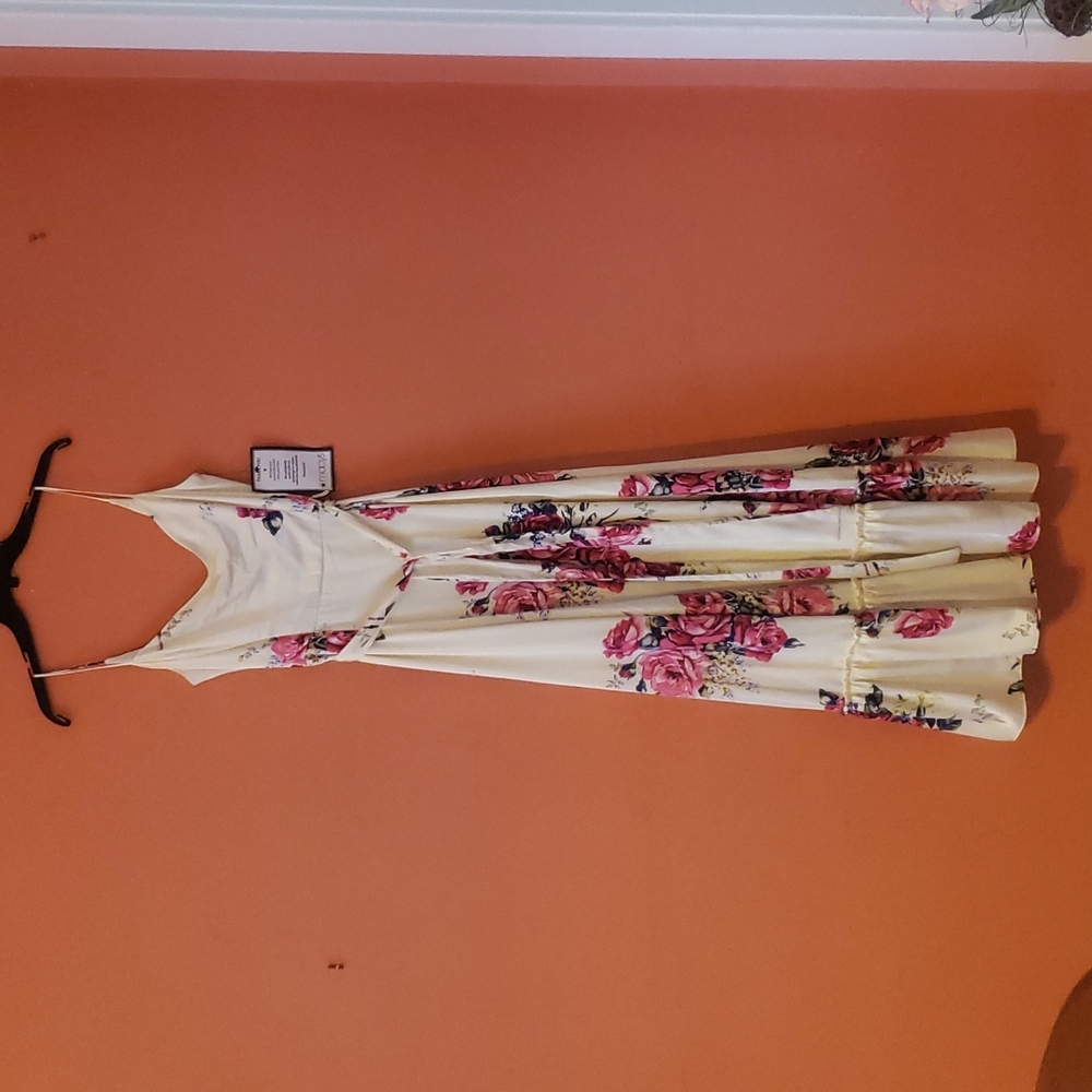 Brand New Betsey Johnson vintage style size 6 floral dress.